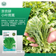 京農(nóng)研農(nóng)科院蔬菜種子大葉香菜四季小蔥雞毛菜紅莧菜芝麻菜空心菜種籽孑 京農(nóng)研小葉茼蒿10克