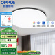 歐普（OPPLE） LED 過(guò)道吸頂燈具臥室陽(yáng)臺(tái)燈玄關(guān)燈飾 現(xiàn)代簡(jiǎn)約YT 升級(jí)呵護(hù)光【黑邊-小臥室燈】