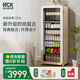 哈士奇HCK冷柜【國家補貼20%】大容量復古冰箱透明玻璃門(mén)冰箱客廳家用臥室冷藏展示恒溫節能一級能效冰吧 【全冷藏】208RI 奶茶色 212L