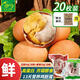 活珠子香辣50g*10枚+五香50g*10枚毛雞蛋13天新鮮雞胚蛋