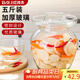 拜杰玻璃泡菜壇子5斤裝加厚密封圓口腌菜缸腌蛋罐泡酒瓶玻璃瓶泡菜壇