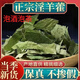 胖東來(lái)品質(zhì)甘肅隴南淫羊藿葉中藥材新貨正宗淫羊藿葉干貨三枝九葉 精選淫羊藿葉20克