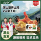 楊博士【童子雞】安徽皖南散養(yǎng)土雞小公雞新鮮雞肉1只凈重1.3斤源頭直發(fā) 2只童子雞丨贈雞血+照燒汁