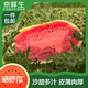 京鮮生 硒砂瓜 1粒裝 凈重18-20斤 生鮮水果 源頭直發(fā)