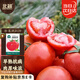 北蔬 水果西紅柿種子種苗老品種大粉沙瓤菜種籽 粉果西紅柿種子100粒