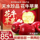 四叔公果蔬金獎(jiǎng)花牛蘋(píng)果天水【順豐/極兔-多地次日達(dá)】蛇果水果禮盒中秋禮品 【金獎(jiǎng)-蕞甜】高山果王 單果85mm+ 【尊享送禮】12枚禮盒裝-顆顆臻選