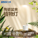 三思植物補光燈仿太陽(yáng)室內全光譜植物生長(cháng)燈多肉補光燈陶瓷盆夾水草燈 5W-盆夾植物燈(USB口)