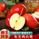 南步東北雞心果【順豐】新鮮海棠果秋沙果玫瑰酸甜小蘋果香妃海棠果 4斤 精選中果【單果30g+】