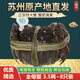 【活蟹】陽(yáng)澄掌柜大閘蟹 特大鮮活螃蟹 公蟹母蟹現貨水產(chǎn)禮盒裝 全母蟹-3.5兩 8只