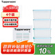 特百惠（Tupperware）冷凍2.5L*4保鮮盒食品級冰箱儲物密封收納盒肉類速凍速解 馬卡藍