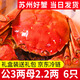 【活蟹】龍行大閘蟹現貨 鮮活螃蟹六月黃公母河蟹水產(chǎn)海鮮禮盒裝 公3.0兩 母2.2兩 6只3對