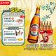 珠江啤酒（PEARL RIVER）9°P  珠江 P9啤酒 560mL 12瓶 整箱裝