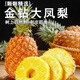 胖東來(lái)品質(zhì)海南金鉆鳳梨新鮮熱帶水果菠蘿新鮮 甜蜜多汁現(xiàn)摘現(xiàn)發(fā)9 精品 小果【4-4.5斤4個(gè)彩箱裝】