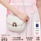 Amazing Song乙頌[七夕禮物]明星同款栗子包小號單肩斜挎包女包高級感馬鞍包