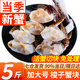 梭子蟹塊 原切蟹塊舟山大螃蟹新鮮冷凍特大海蟹水產(chǎn) 【加大 新蟹免處理】梭子蟹塊 凈重5斤