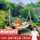 紫葉（ziye） 戶(hù)外秋千吊籃椅搖椅家用秋千椅搖籃椅吊椅庭院吊籃椅子 原木色秋千【配棉麻坐墊靠枕】