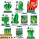北蔬 蘿卜白菜種子香菜菠菜胡蘿卜生菜秋季種 10種秋冬季蔬菜種子套餐
