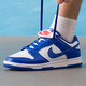 耐克（NIKE）男鞋NIKE DUNK LOW RETRO輕便低幫休閑運動滑板鞋HF5441-112 HF5441-112 42