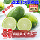 優(yōu)味集香水檸檬無(wú)籽新鮮小青檸廣西當季酸甜多汁孕婦水果飲品店整箱批發(fā) 3斤凈重 精選6S果 單果（80-150g）
