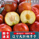 南步正宗東北大紅袍李子【順豐速運】干核脫骨玫瑰櫻桃李黑布林水果禮5斤 精選果王【單果170-200g】