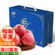 洛川蘋果陜西嘎啦蘋果2025年頭茬新果新鮮采摘現(xiàn)摘現(xiàn)發(fā)新鮮蘋果水果 20枚80mm禮盒裝
