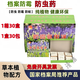 檔案室防蟲(chóng)藥防霉防蟲(chóng)劑圖書(shū)館書(shū)籍文件專(zhuān)用防蟲(chóng)藥 檔案室專(zhuān)用防蟲(chóng)藥1盒裝