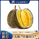 金尼堯紅肉榴蓮馬來(lái)西亞D101液氮冷凍水果精選4房 3.0-3.5斤【力薦果 保4房】