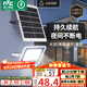 雷士（NVC）太陽能戶外照明燈室外庭院燈路燈投光燈光控遙控402lm+約25m2