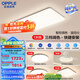 歐普（OPPLE）簡約北歐超薄led客廳現(xiàn)代簡約呵護(hù)光全屋燈具臥室餐廳吸頂燈TC 呵護(hù)光2代 A4【三室兩廳】