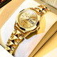 金仕盾瑞士手表女士全自動(dòng)機械表時(shí)尚防水高檔夜光商務(wù)氣質(zhì)專(zhuān)用女表 金色金面款