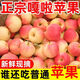 農戶(hù)自種現摘脆甜多汁嘎啦蘋(píng)果 9-10斤 帶箱9-10斤/大果