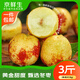 京鮮生山東沾化冬棗 凈重3斤 單果20g+ 新鮮水果 清脆爽口 源頭直發(fā)包郵