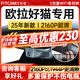智看（FiTCAM）適用于歐拉好貓專用行車記錄儀安裝4K超高清前后雙攝停車監(jiān)控 套餐一：4K版單鏡頭+64G內(nèi)存卡