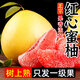 正宗福建平和琯溪紅心蜜柚爆甜多汁現摘現發(fā)紅心柚子 精品紅心蜜柚9斤(爆汁鮮甜)