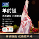 寧鑫 寧夏鹽池灘羊 原切整只羊前腿凈重2斤  地理標(biāo)志產(chǎn)品 清真食品