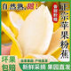 正宗蘋(píng)果蕉banana香蕉新鮮水果9斤蘋(píng)果粉蕉自然熟當季小米芭蕉 9斤