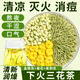草木方 三花茶60g(30包) 疏肝解郁三花茶 菊花金銀花茉莉花去火清熱泡水