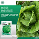 京農(nóng)研農(nóng)科院蔬菜種子大葉香菜四季小蔥雞毛菜紅莧菜芝麻菜空心菜種籽孑 京全球結(jié)球生菜 1克