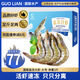 GUO LIAN國聯(lián)生鮮鹽凍大蝦 去冰凈重3斤 73-90只 盒裝活凍 海鮮海產(chǎn)冷凍蝦