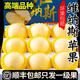 正宗維納斯黃金蘋(píng)果10斤奶油富士新鮮水果當季現摘脆甜黃蘋(píng)果包郵 3斤【中大果】