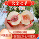 甘肅天水秦安北京七號水蜜桃新鮮水果現(xiàn)摘現(xiàn)發(fā)整箱包郵果農(nóng)直發(fā) 小果12顆禮盒裝【65-70mm】