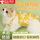 母貓絕育服寵物貓咪手術(shù)服小貓手術(shù)衣母貓公貓斷奶服放舔舐術(shù)后服 【M碼】6-12斤