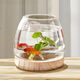 茯見(jiàn)桌面魚(yú)缸玻璃小型家用客廳辦公桌金魚(yú)斗魚(yú)烏龜適用一體生態(tài)缸 【大號】木底座玻璃魚(yú)缸 有底座