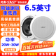 先科（SAST）YS4-5同軸定壓吸頂喇叭音響背景音樂(lè)公共廣播音箱家庭影院高保真天花板家用門店商場(chǎng)吊頂6.5英寸