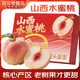 春福樂(lè ) 新鮮水蜜桃【核心產(chǎn)區】現摘新鮮當季應季時(shí)令水果山西桃子 凈重4.5-5斤 | 單果100g+ |嚴選