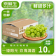 京鮮生陽(yáng)光玫瑰香青提凈重4.5-5斤裝單果10g 葡萄/提子生鮮水果源頭直發(fā)