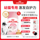 皇家幼貓貓糧 幼貓奶糕 K36 通用糧 4-12月 2KG