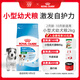 皇家狗糧 幼犬狗糧 寵物 小型犬 MIJ31 全價犬糧 2-10月 2KG