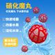 曉之魚(yú)紅色硝化魔球魚(yú)缸過(guò)濾材料炫動(dòng)生化球細菌屋養魚(yú)用品培菌硝化毛球 紅色硝化魔丸200個(gè)(送網(wǎng)袋)