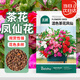 北蔬 鳳仙花種子混色大花指甲花四季花籽 重瓣混色茶花鳳仙種子1000粒